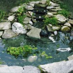 Bird Pond With 3 Tier Cascade