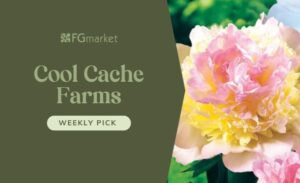 FGmarket’s Weekly Pick: Cool Cache Farms