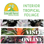 Emerald Forest Tropical's, Homestead, Florida